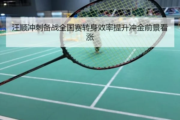 汪顺冲刺备战全国赛转身效率提升冲金前景看涨